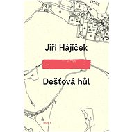 Dešťová hůl - Jiří Hájíček
