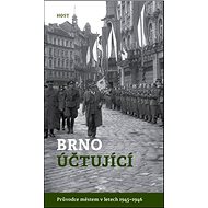 Brno účtující - Alexandr Brummer; Michal Konečný