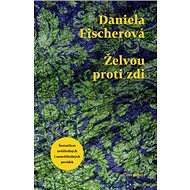 Želvou proti zdi - Daniela Fischerová