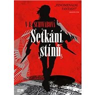 Setkání stínů - Victoria Schwabová