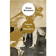 Čakanie na Bojanglesa - Oliver Bourdeaut