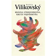 Krásna strojvodkyňa, krutá vojvodkyňa - Pavel Vilikovský