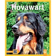 Hovawart - 