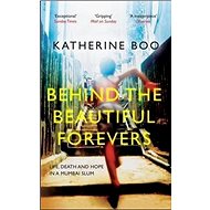 Behind the Beautiful Forevers - 