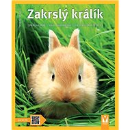 Zakrslý králík - 