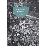 Ptačí ulice - Piotr Paziński