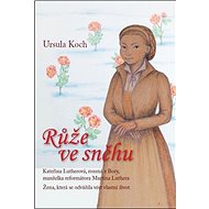 Růže ve sněhu - 