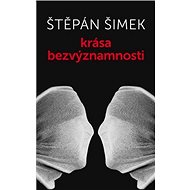Krása bezvýznamnosti - Štěpán Šimek