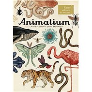 Animalium: Vítáme vás v muzeu - Jenny Broomová  Katie Scottová