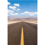 Here and Gone - 