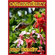 Osmisměrky pro úsměv - 