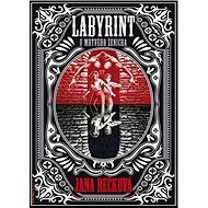 Labyrint u Mrtvého ženicha - Jana Rečková