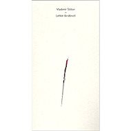 Lehké škrábnutí - Vladimír Stibor