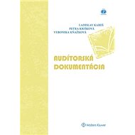 Audítorská dokumentácia - Ladislav Kareš