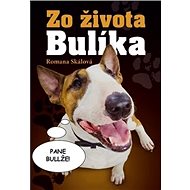 Zo života Bulíka - 