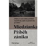 Miedzianka: Příběh zániku - Filip Springer