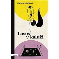 Losos v kaluži - Markéta Lukášková