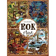 Rok v lese - Emilia Dziubaková; Emilia Dziubaková