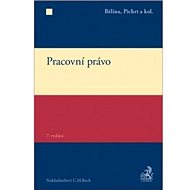 Pracovní právo - 