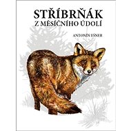 Stříbrňák z Měsíčního údolí - 