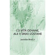 Co vítr odvane, ale v srdci zůstane - Jaroslav Brož