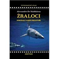 Žraloci, dokonalí vodní predátoři - Alessandro De Maddalena
