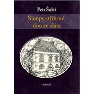 Sloupy stříbrné, dno ze zlata - Petr Šuleř