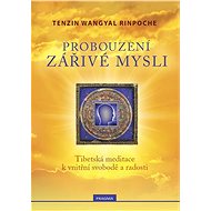 Probouzení zářivé mysli - Tenzin Wangyal Rinpočhe