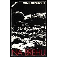 Na břehu: Surrealistické protokoly - 