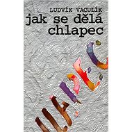 Jak se dělá chlapec - Ludvík Vaculík