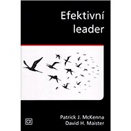 Efektivní leader - Patrick J. McKenna; David H. Maister