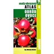 Jabloně: 4. - Miloslav Richter; Miloslav Richter