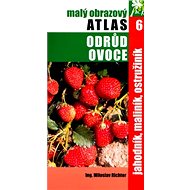 Jahodník, maliník, ostružiník: 6. - Miloslav Richter