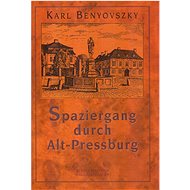 Spaziergang durch Alt - Pressburg - 