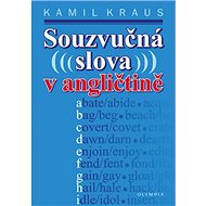 Souzvučná slova v angličtině - 