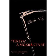 Tereza a mokrá čtvrť - Zdeněk Vlk