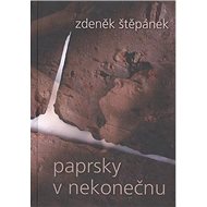 Paprsky v nekonečnu - Zdeněk Štěpánek
