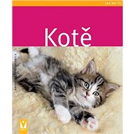 Kotě - Brigite Eilert-Overbeck