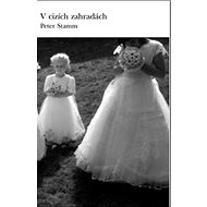 V cizích zahradách - Peter Stamm