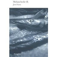 Melancholie II. - Jon Fosse
