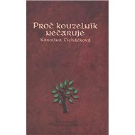 Proč kouzelník nečaruje - Karolína Ticháčková