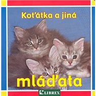 Koťátka a jiná mláďata - 