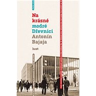 Na krásné modré Dřevnici - 