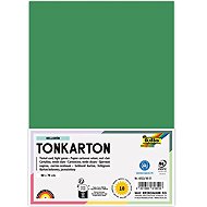 FOLIA karton 50 × 70 cm, 220 g, 10 listů, mechově zelená - Colour Paper