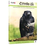 Four Lions - DVD - Film X edition - DVD Film