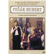 Fešák Hubert - DVD  - DVD Film