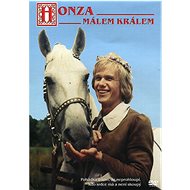 Honza málem králem - DVD  - DVD Film