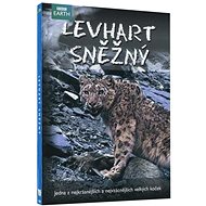 Snow Leopard - DVD - BBC - DVD Film