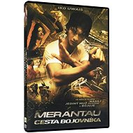 Merantau - The Way of the Warrior - DVD - DVD Film
