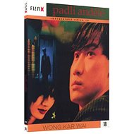 Fallen Angels - DVD - Film X edition - DVD Film